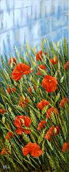 Backyard Poppies