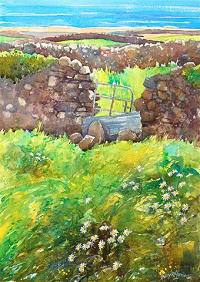 A Field of Daisies, Inis Oirr | Euro 645