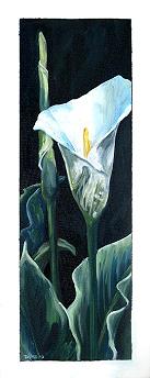 Lily | Oil | 8x20 | Euro 200