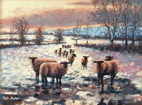 Sheep | 11x15 | Oil on Panel | Euro 595