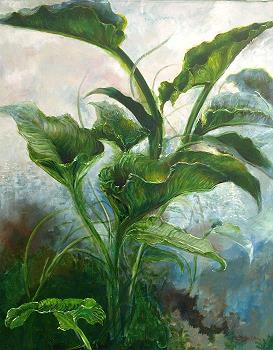 Jay | Oil on Canvas | 32x40 | Euro 850